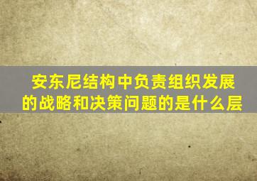 安东尼结构中负责组织发展的战略和决策问题的是什么层