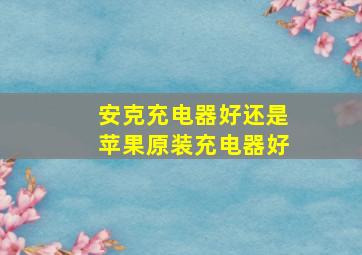 安克充电器好还是苹果原装充电器好