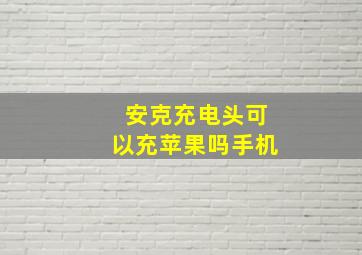 安克充电头可以充苹果吗手机