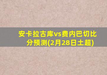 安卡拉古库vs费内巴切比分预测(2月28日土超)