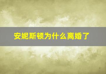 安妮斯顿为什么离婚了