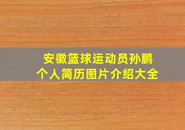 安徽篮球运动员孙鹏个人简历图片介绍大全