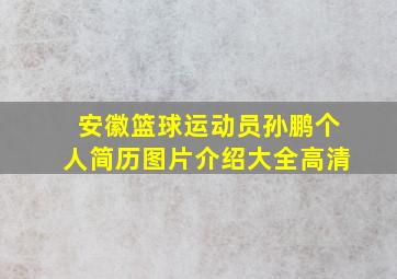 安徽篮球运动员孙鹏个人简历图片介绍大全高清