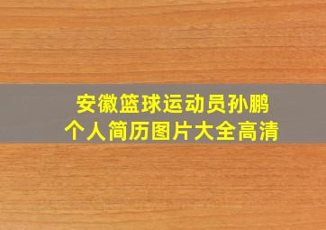 安徽篮球运动员孙鹏个人简历图片大全高清