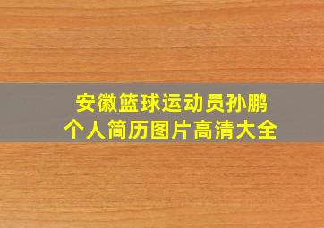 安徽篮球运动员孙鹏个人简历图片高清大全