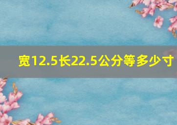 宽12.5长22.5公分等多少寸