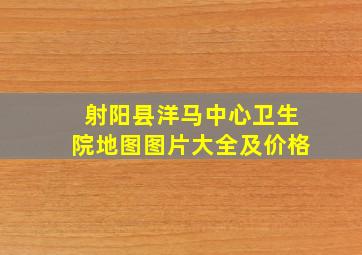 射阳县洋马中心卫生院地图图片大全及价格