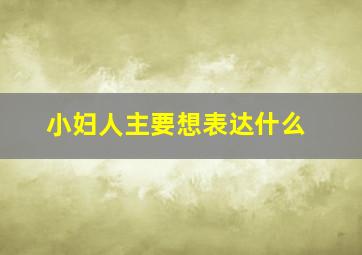 小妇人主要想表达什么