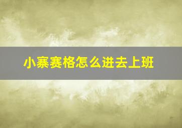 小寨赛格怎么进去上班