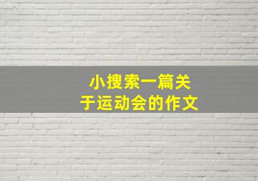 小搜索一篇关于运动会的作文