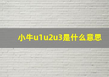 小牛u1u2u3是什么意思