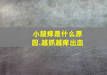 小腿痒是什么原因.越抓越痒出血