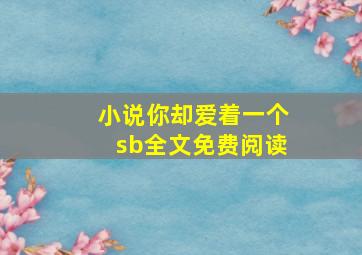 小说你却爱着一个sb全文免费阅读