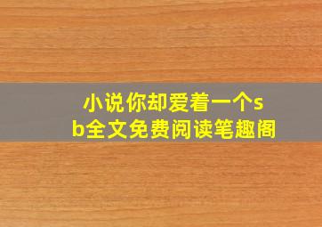 小说你却爱着一个sb全文免费阅读笔趣阁