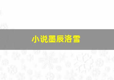 小说墨辰洛雪