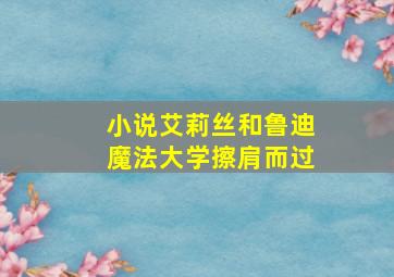 小说艾莉丝和鲁迪魔法大学擦肩而过