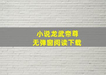 小说龙武帝尊无弹窗阅读下载