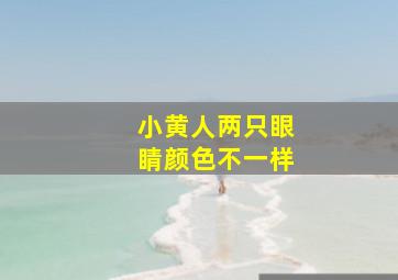 小黄人两只眼睛颜色不一样