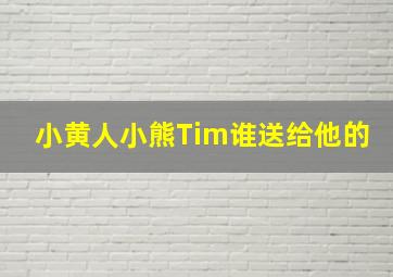 小黄人小熊Tim谁送给他的