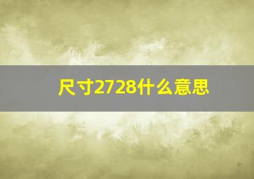 尺寸2728什么意思