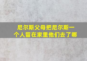 尼尔斯父母把尼尔斯一个人留在家里他们去了哪