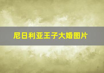 尼日利亚王子大婚图片