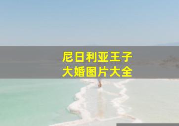 尼日利亚王子大婚图片大全