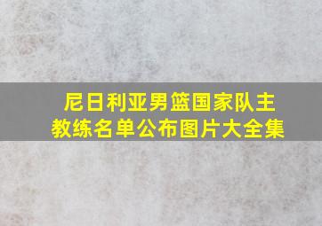 尼日利亚男篮国家队主教练名单公布图片大全集