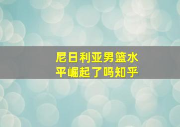 尼日利亚男篮水平崛起了吗知乎