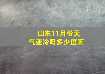 山东11月份天气变冷吗多少度啊