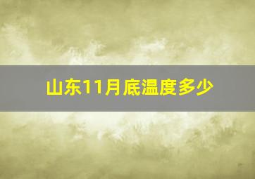 山东11月底温度多少