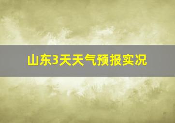 山东3天天气预报实况