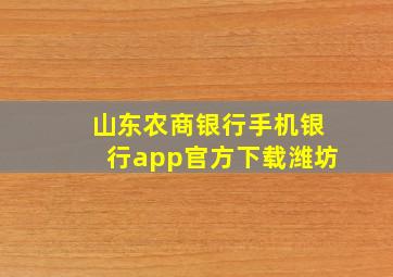 山东农商银行手机银行app官方下载潍坊