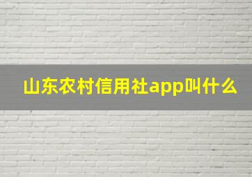 山东农村信用社app叫什么