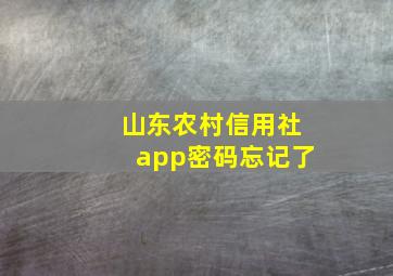 山东农村信用社app密码忘记了