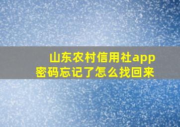 山东农村信用社app密码忘记了怎么找回来