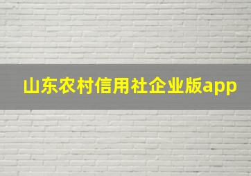 山东农村信用社企业版app