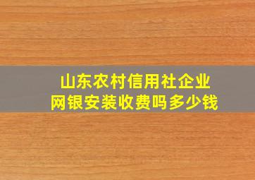 山东农村信用社企业网银安装收费吗多少钱