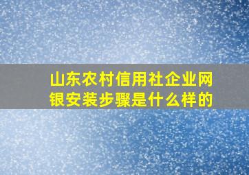 山东农村信用社企业网银安装步骤是什么样的