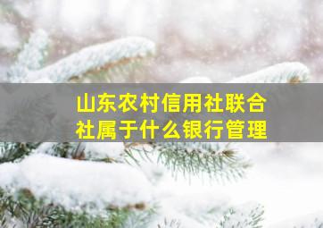 山东农村信用社联合社属于什么银行管理