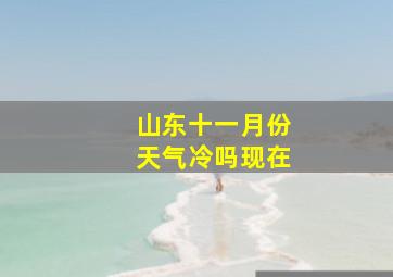 山东十一月份天气冷吗现在