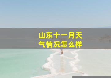 山东十一月天气情况怎么样