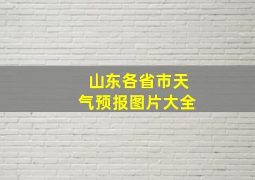 山东各省市天气预报图片大全