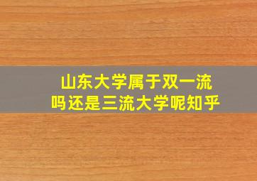 山东大学属于双一流吗还是三流大学呢知乎