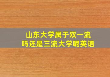 山东大学属于双一流吗还是三流大学呢英语