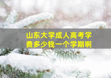 山东大学成人高考学费多少钱一个学期啊