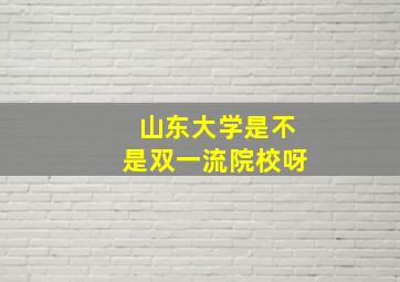 山东大学是不是双一流院校呀