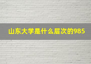 山东大学是什么层次的985