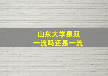 山东大学是双一流吗还是一流