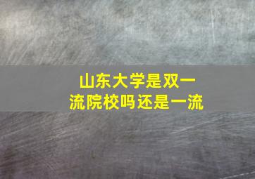 山东大学是双一流院校吗还是一流